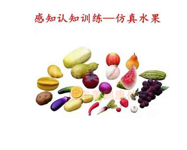 有名气的儿童康复设备厂家企业